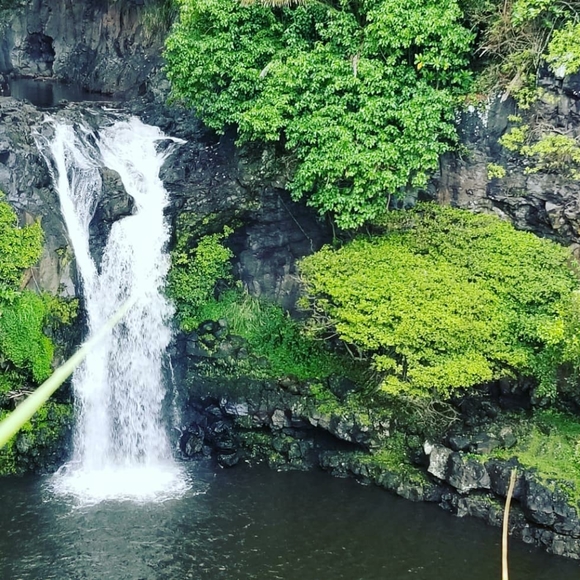 😍 POSH AMBASSADOR - Picture 8 of 8